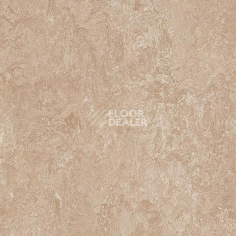 Forbo Marmoleum Marbled Authentic 3141 Himalaya фото 1 | FLOORDEALER